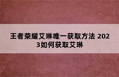 王者荣耀艾琳唯一获取方法 2023如何获取艾琳